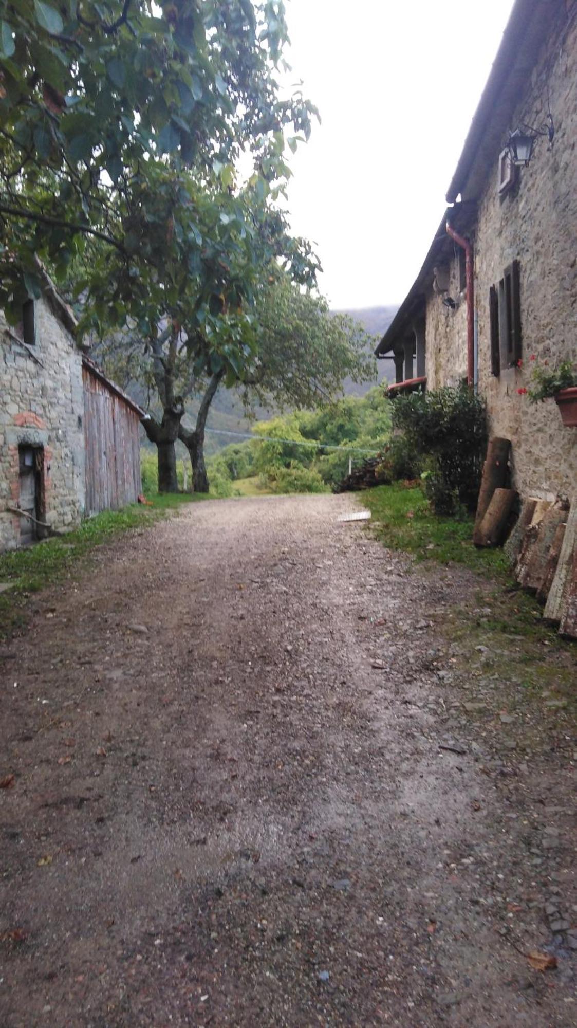 Hotel Rifugio "La Castellina" Il Castagno D'Andrea Exteriér fotografie